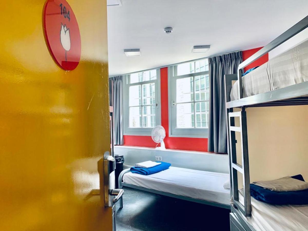 Bunk Bed Mixed Dormitory Room