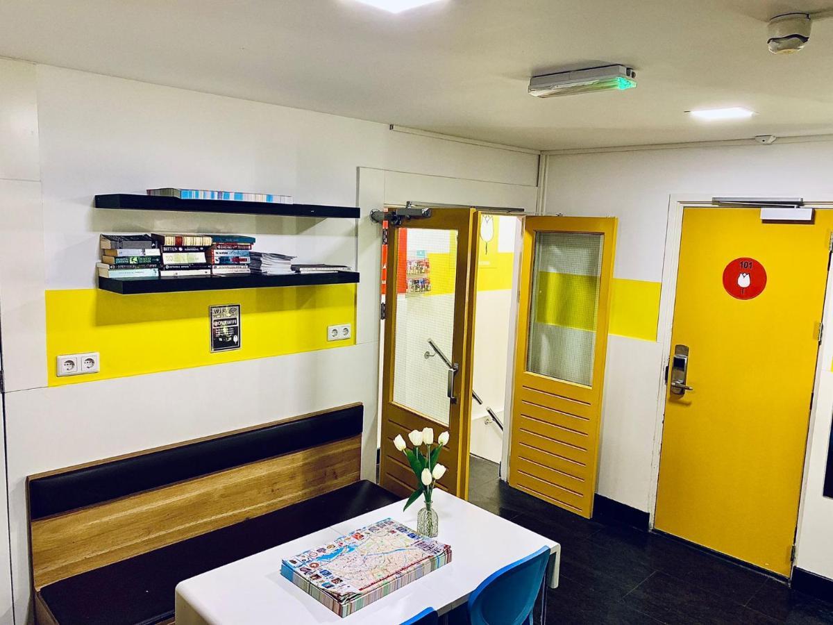 Bunk Bed Mixed Dormitory Room